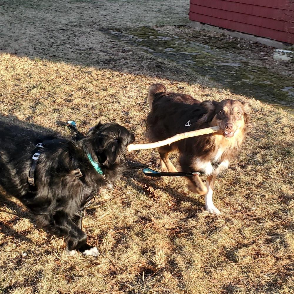 Meet your Posher, Bonnie